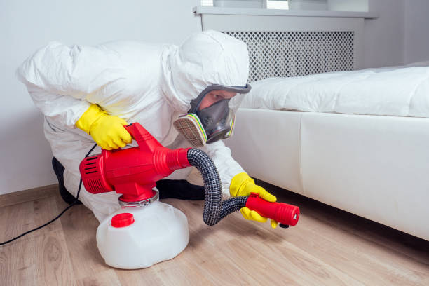 Best Pest Inspection Near Me  in New Martinsville, WV