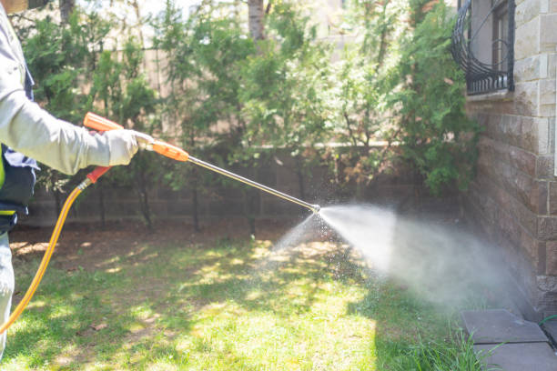 Best Affordable Pest Control Services  in New Martinsville, WV